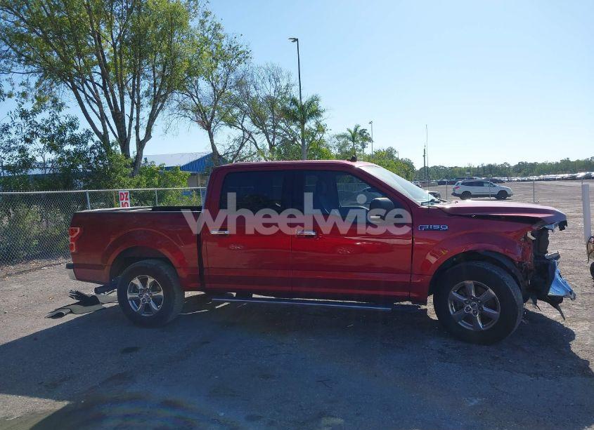 Photo 13 of 2019 Ford F-150 XLT (VIN 1FTEW1C51KFC60781)