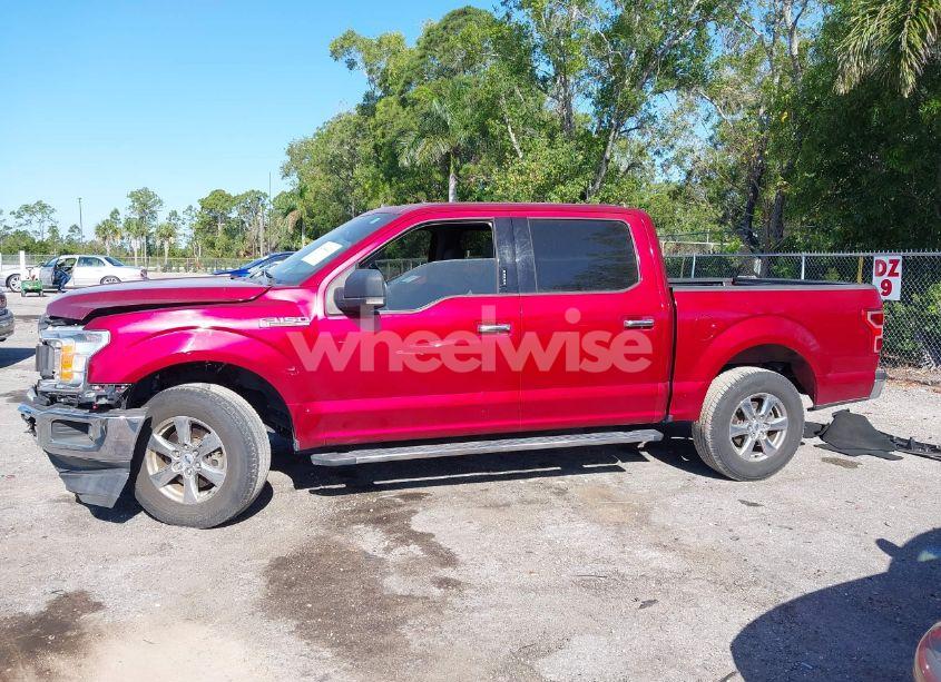 Photo 14 of 2019 Ford F-150 XLT (VIN 1FTEW1C51KFC60781)