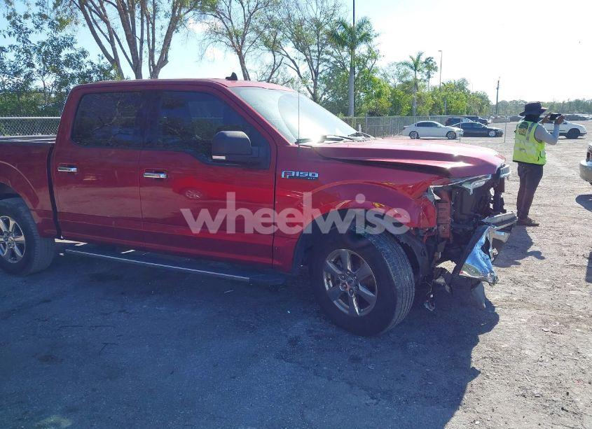 Photo 19 of 2019 Ford F-150 XLT (VIN 1FTEW1C51KFC60781)