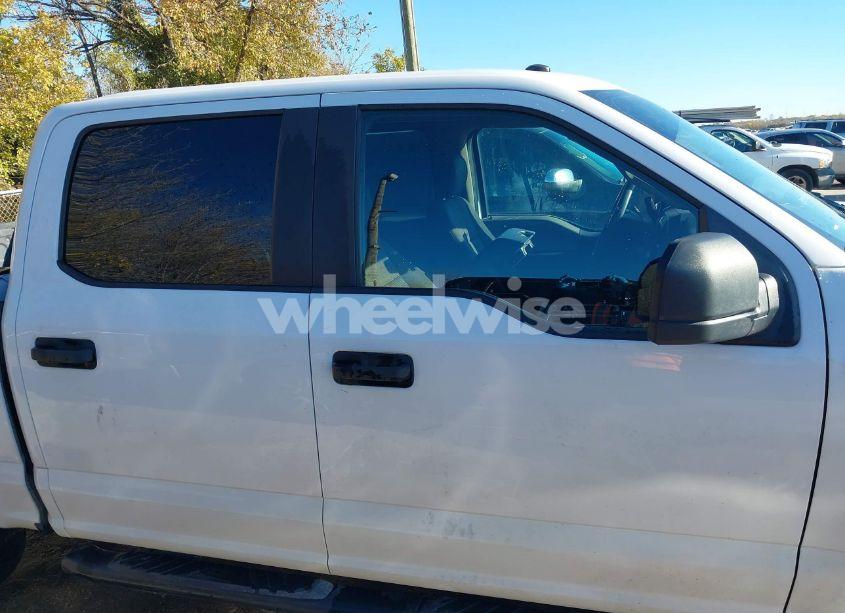 Photo 13 of 2019 Ford F-150 XL (VIN 1FTEW1C51KKC58391)