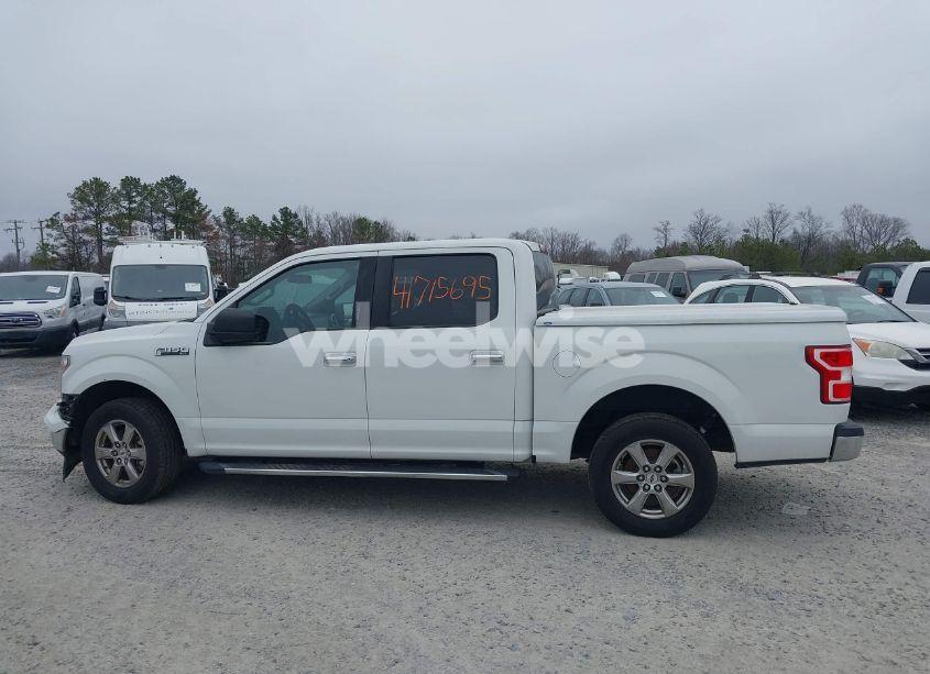 Photo 14 of 2020 Ford F-150 XLT (VIN 1FTEW1C51LFB75537)