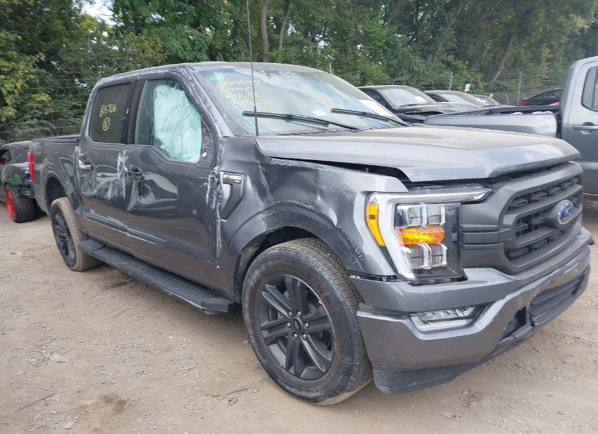 2023 Ford F-150 XLT (VIN 1FTEW1C51PFB15926) main photo