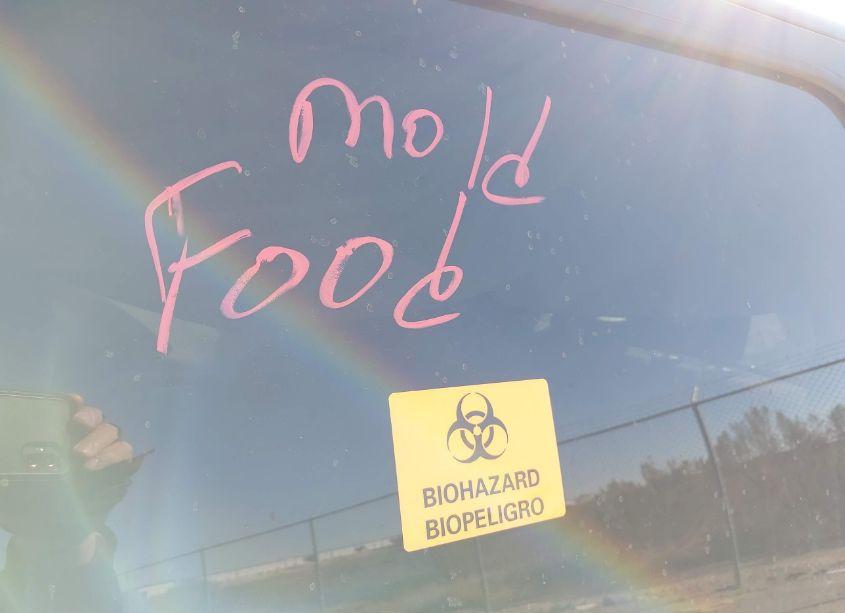 Photo 7 of 2020 Ford F-150 XLT (VIN 1FTEW1C52LKD74538)