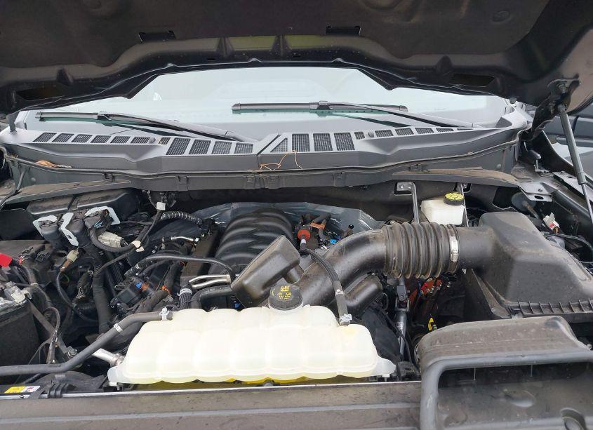 Photo 10 of 2023 Ford F-150 XLT (VIN 1FTEW1C53PFC08821)