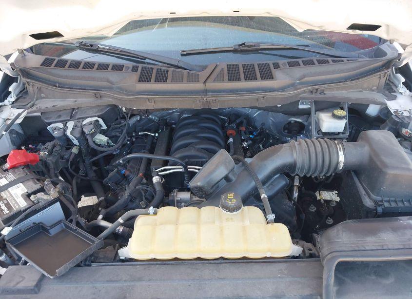 Photo 6 of 2021 Ford F-150 XL (VIN 1FTEW1C54MFA54602)