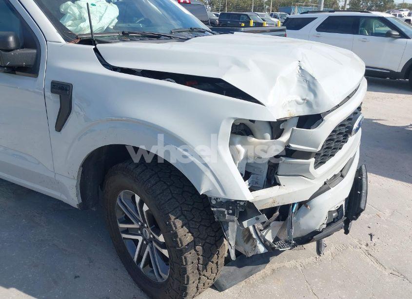 Photo 17 of 2023 Ford F-150 XL (VIN 1FTEW1C54PFB59130)