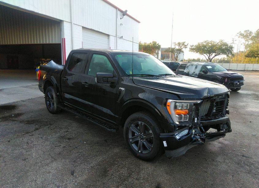 2023 Ford F-150 XLT (VIN 1FTEW1C54PFB84531) main photo