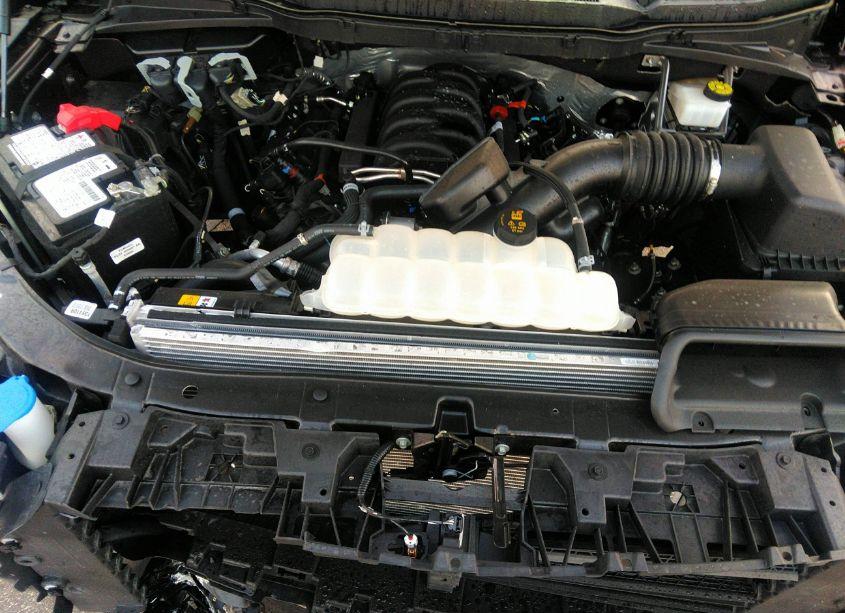 Photo 10 of 2023 Ford F-150 XLT (VIN 1FTEW1C54PFB84531)