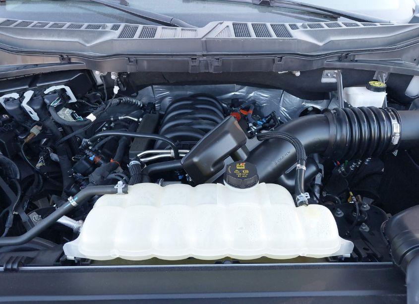 Photo 10 of 2023 Ford F-150 XLT (VIN 1FTEW1C54PKD32572)