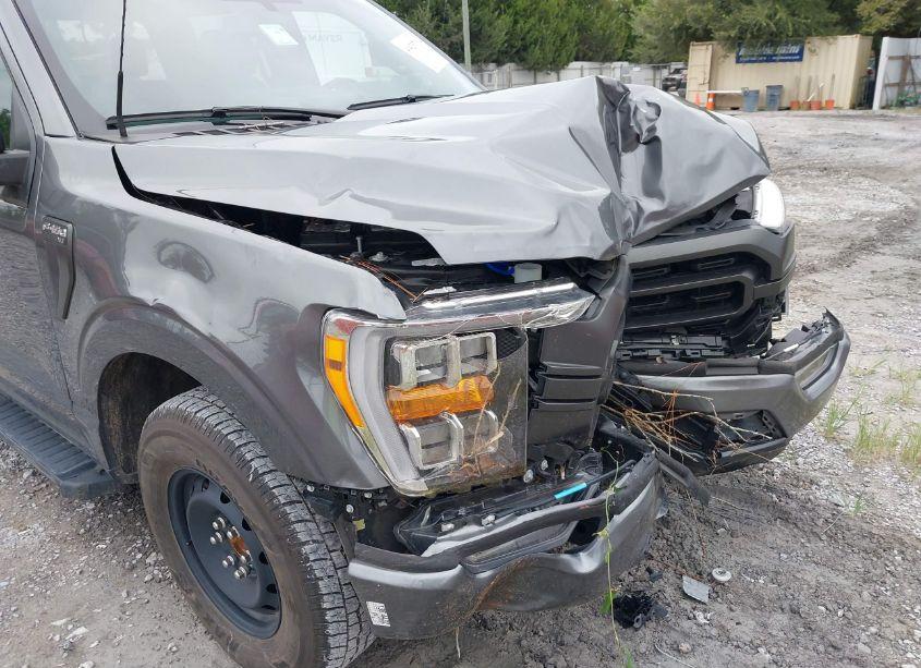 Photo 21 of 2023 Ford F-150 XLT (VIN 1FTEW1C55PFB84280)