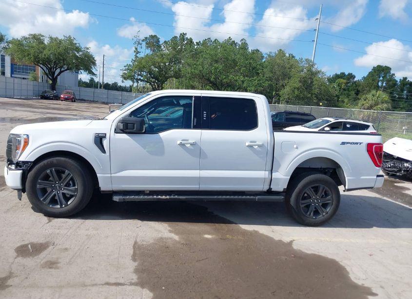Photo 14 of 2023 Ford F-150 XLT (VIN 1FTEW1C55PFC09646)