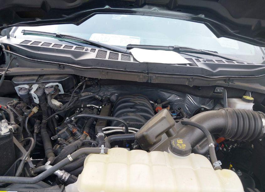 Photo 10 of 2023 Ford F-150 XLT (VIN 1FTEW1C55PFC29282)