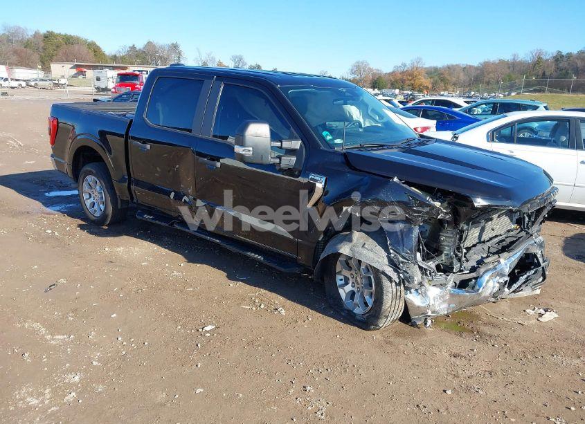 2023 Ford F-150 XLT (VIN 1FTEW1C55PKD00004) main photo