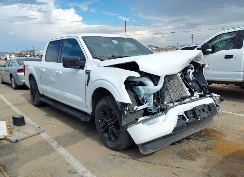 2023 Ford F-150 XLT (VIN 1FTEW1C56PFC28044) main photo
