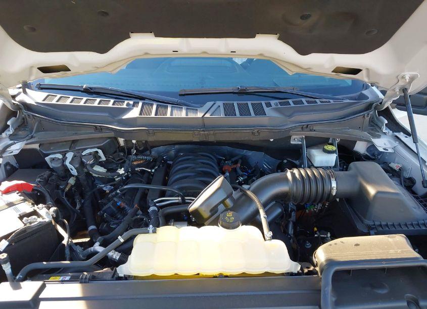 Photo 10 of 2023 Ford F-150 XLT (VIN 1FTEW1C56PKG10033)