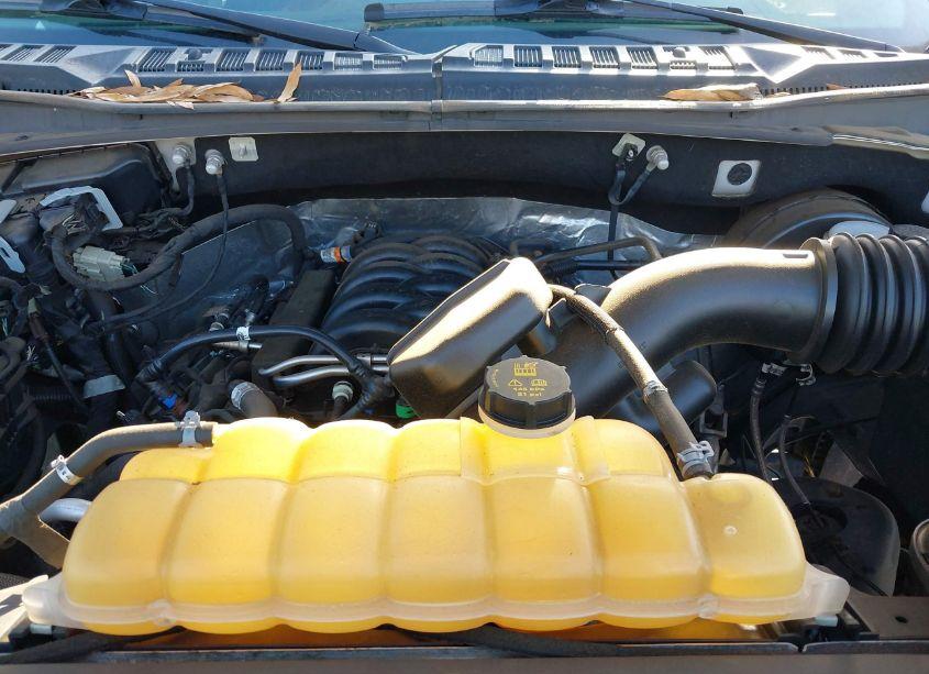 Photo 10 of 2019 Ford F-150 XLT (VIN 1FTEW1C57KKC90083)