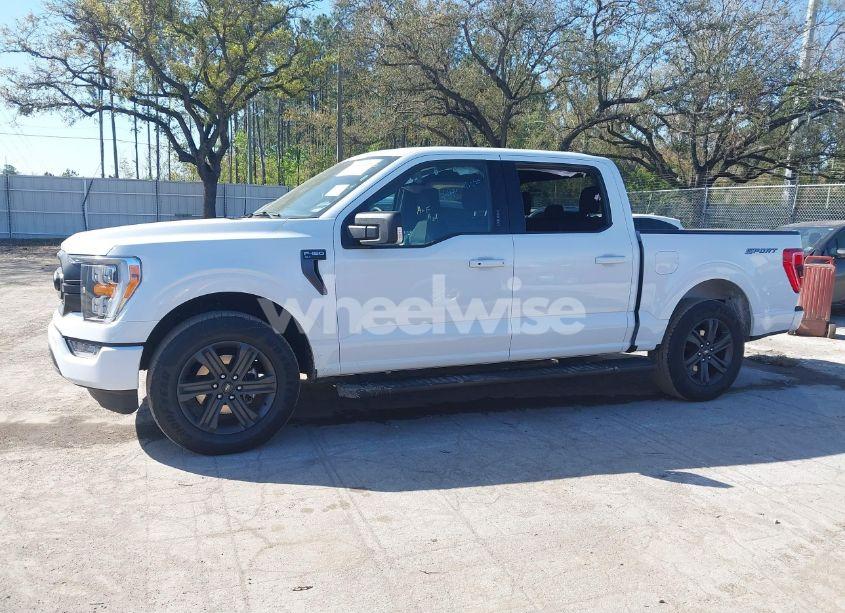 Photo 14 of 2023 Ford F-150 XLT (VIN 1FTEW1C57PFC48190)