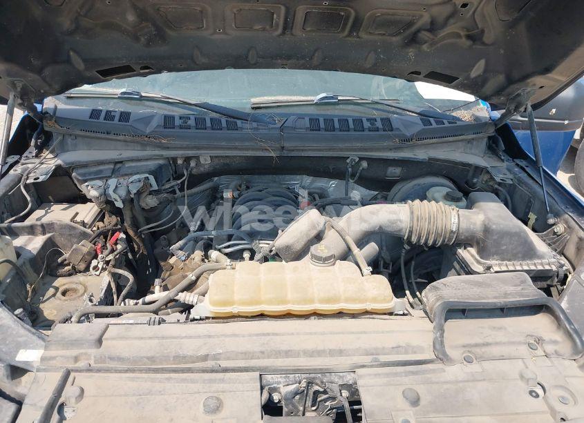 Photo 10 of 2019 Ford F-150 XL (VIN 1FTEW1C59KKC99982)