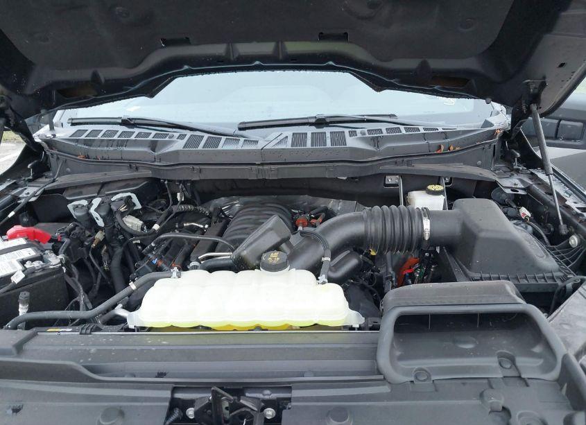 Photo 10 of 2023 Ford F-150 XLT (VIN 1FTEW1C59PFC56775)