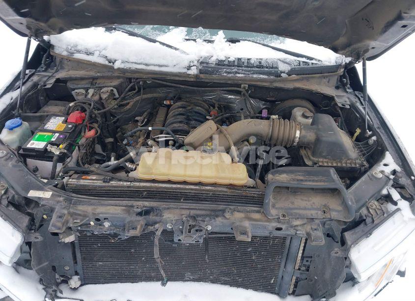 Photo 10 of 2019 Ford F-150 XLT (VIN 1FTEW1C5XKKC41167)