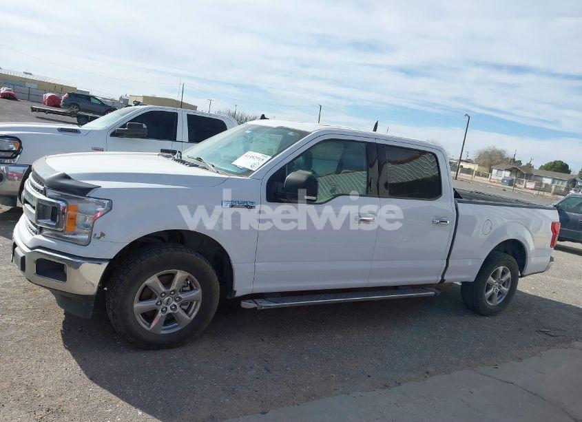 Photo 14 of 2019 Ford F-150 XLT (VIN 1FTEW1C5XKKD49563)