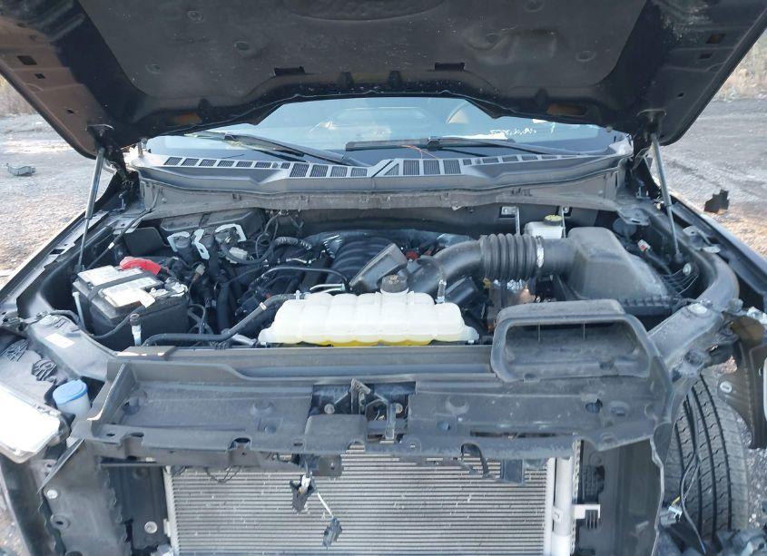 Photo 10 of 2023 Ford F-150 XLT (VIN 1FTEW1C5XPFB84095)