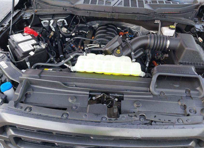 Photo 10 of 2023 Ford F-150 XLT (VIN 1FTEW1C5XPFC09335)