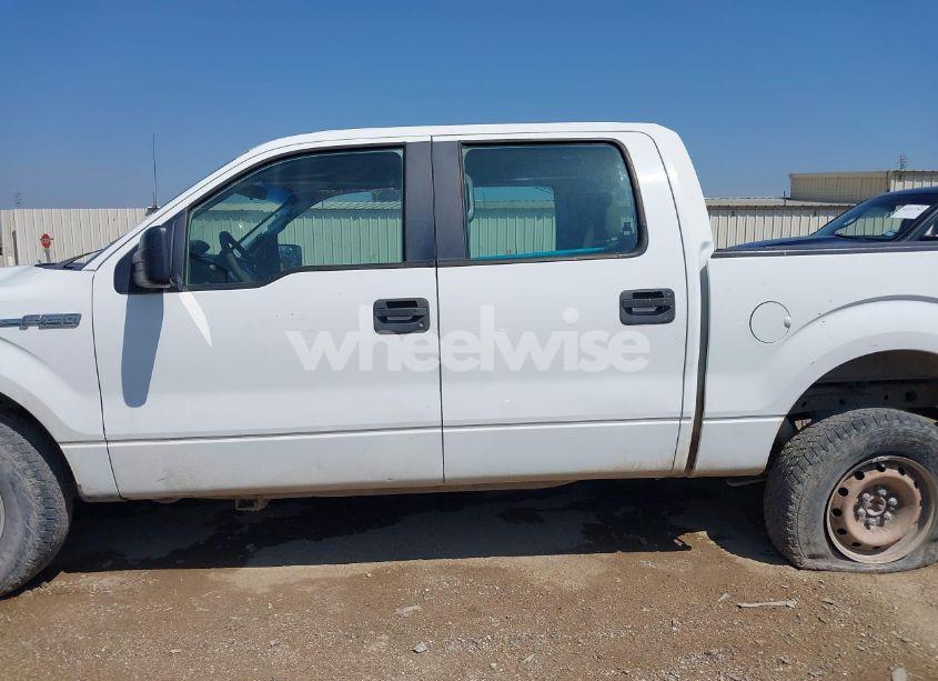 Photo 14 of 2010 Ford F-150 FX2 SPORT/XL/XLT (VIN 1FTEW1C80AFB78078)