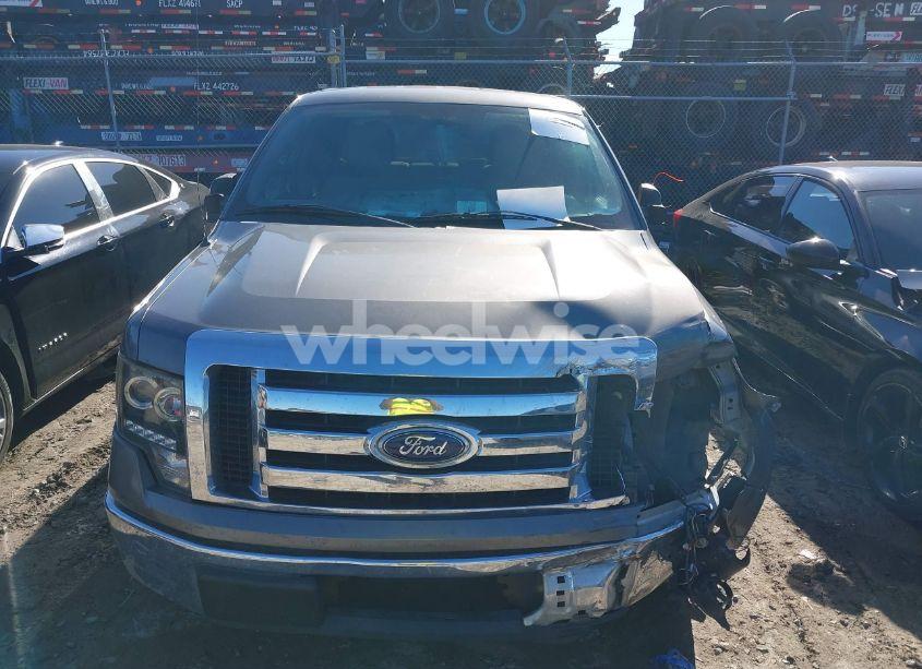 Photo 12 of 2010 Ford F-150 FX2 SPORT/XL/XLT (VIN 1FTEW1C80AFC36691)