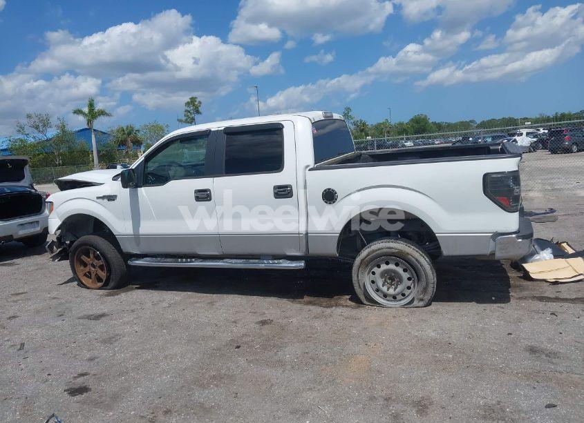 Photo 14 of 2010 Ford F-150 FX2 SPORT/XL/XLT (VIN 1FTEW1C80AFD39898)