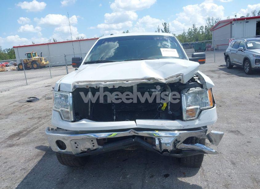 Photo 6 of 2010 Ford F-150 FX2 SPORT/XL/XLT (VIN 1FTEW1C80AFD39898)