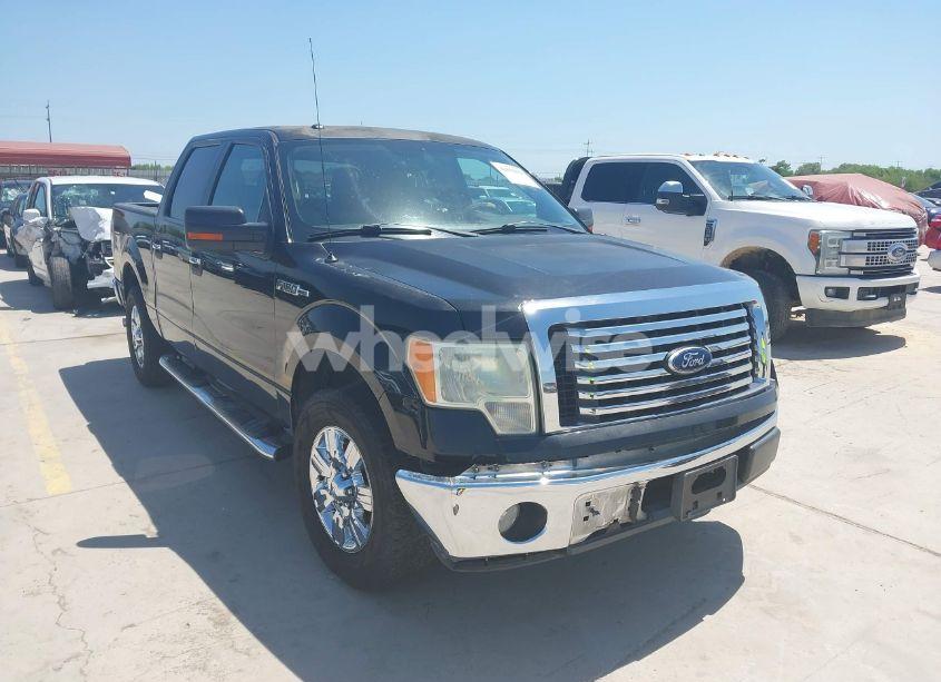 2010 Ford F-150 FX2 SPORT/XL/XLT (VIN 1FTEW1C80AKE36896) main photo