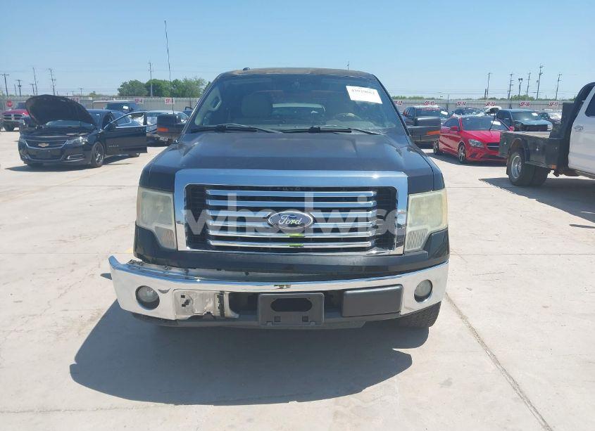 Photo 12 of 2010 Ford F-150 FX2 SPORT/XL/XLT (VIN 1FTEW1C80AKE36896)