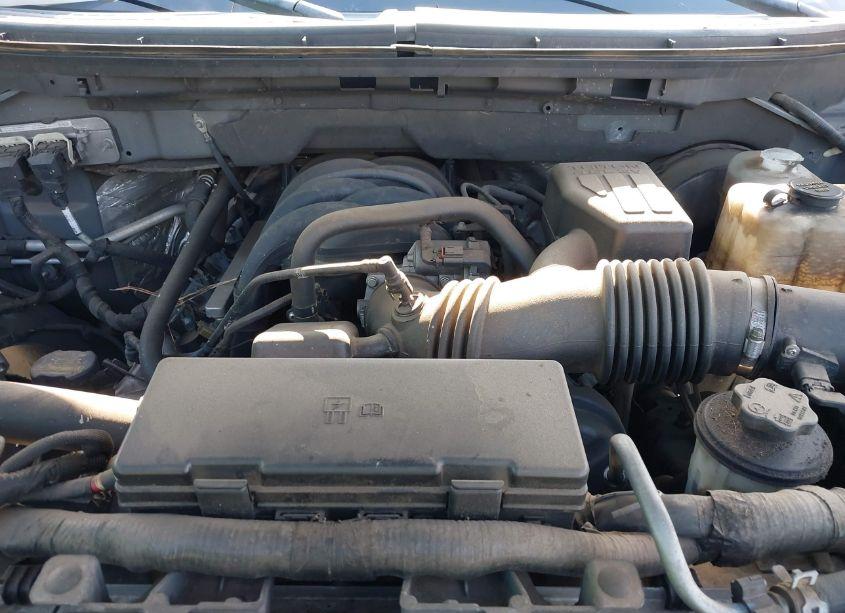 Photo 10 of 2010 Ford F-150 FX2 SPORT/XL/XLT (VIN 1FTEW1C81AFA81827)