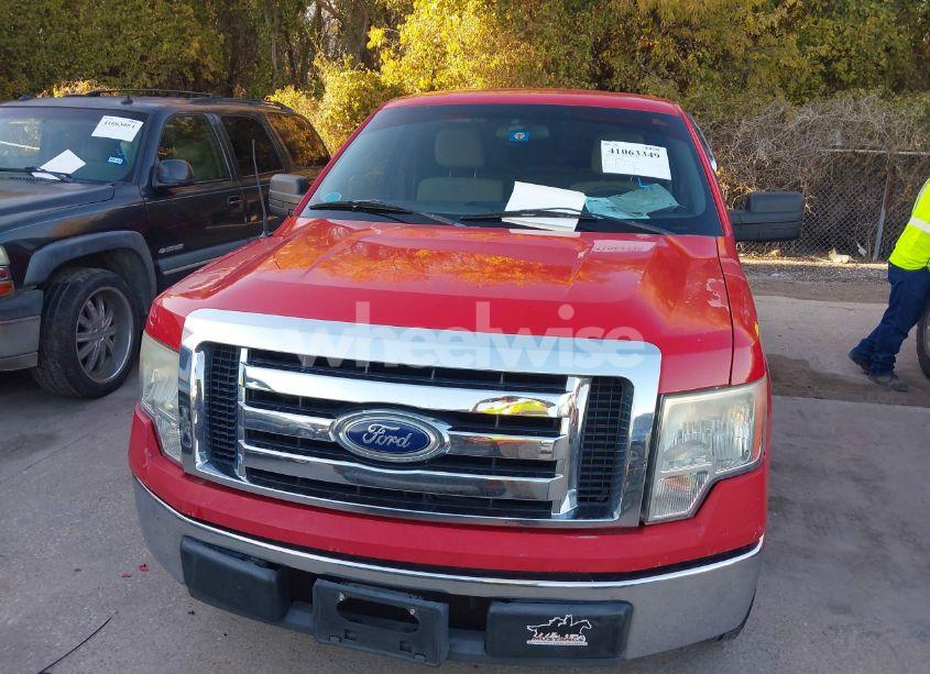 Photo 13 of 2010 Ford F-150 FX2 SPORT/XL/XLT (VIN 1FTEW1C81AFC04882)