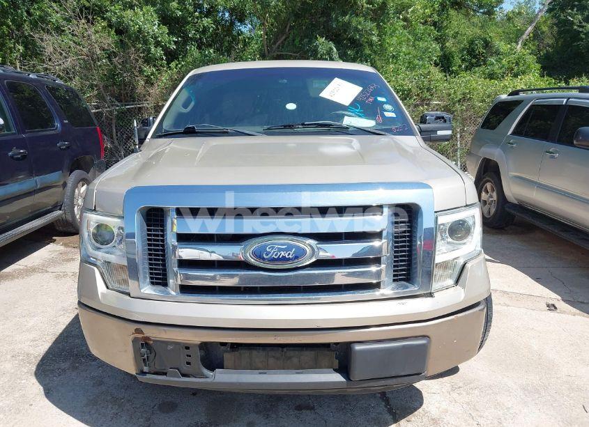 Photo 12 of 2010 Ford F-150 XLT (VIN 1FTEW1C81AFD72814)