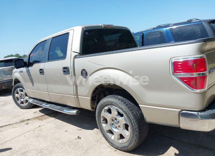 Photo 14 of 2010 Ford F-150 XLT (VIN 1FTEW1C81AFD72814)