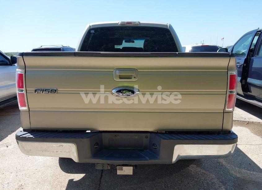 Photo 16 of 2010 Ford F-150 XLT (VIN 1FTEW1C81AFD72814)