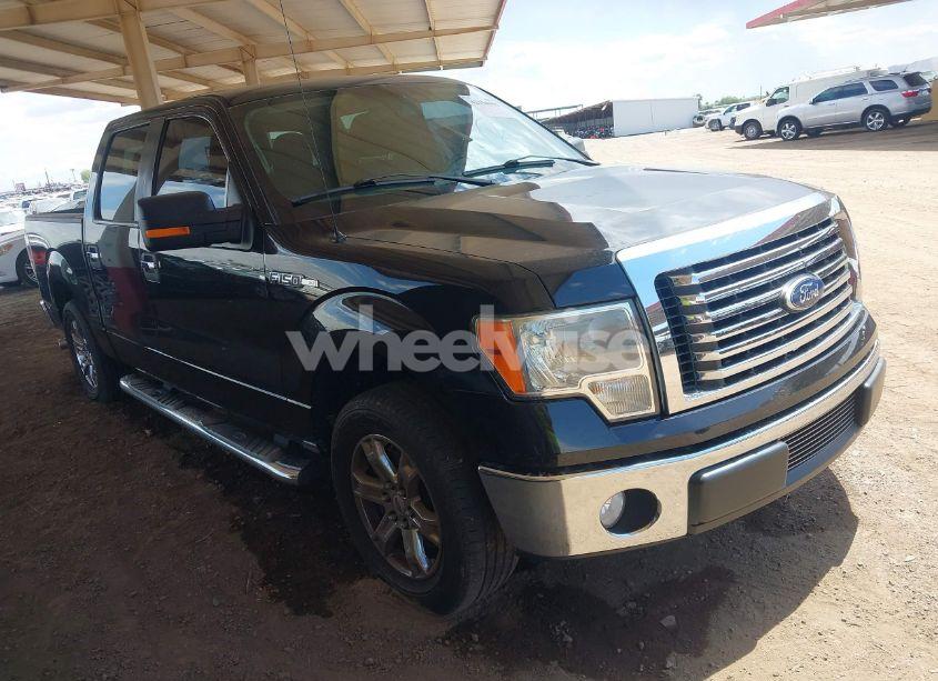 2010 Ford F-150 FX2 SPORT/XL/XLT (VIN 1FTEW1C82AFB92693) main photo