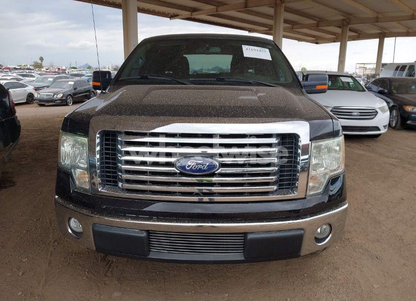Photo 12 of 2010 Ford F-150 FX2 SPORT/XL/XLT (VIN 1FTEW1C82AFB92693)