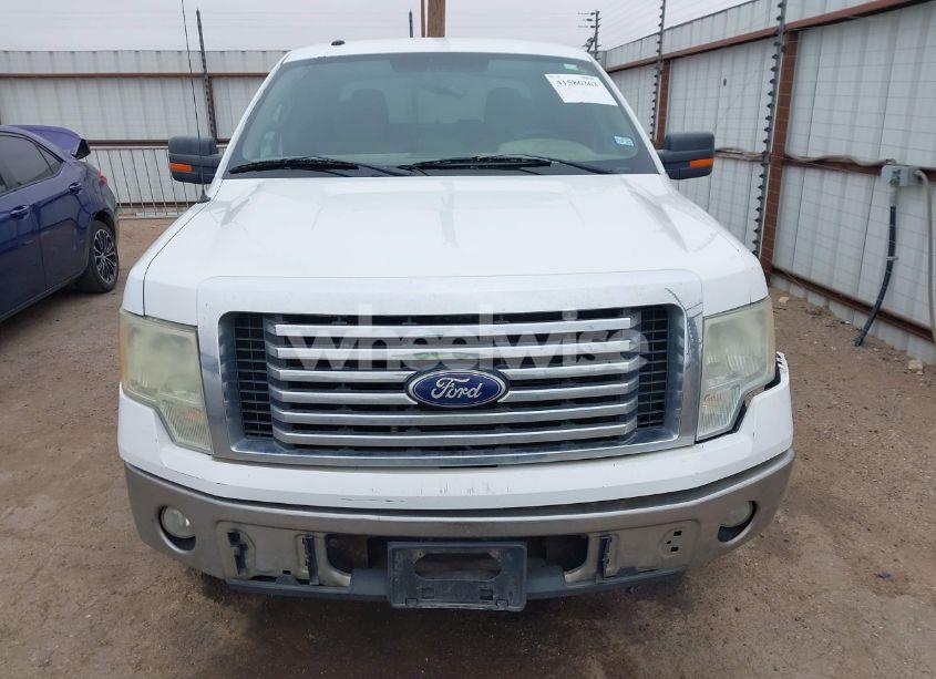 Photo 13 of 2010 Ford F-150 FX2 SPORT/XL/XLT (VIN 1FTEW1C82AKA23197)