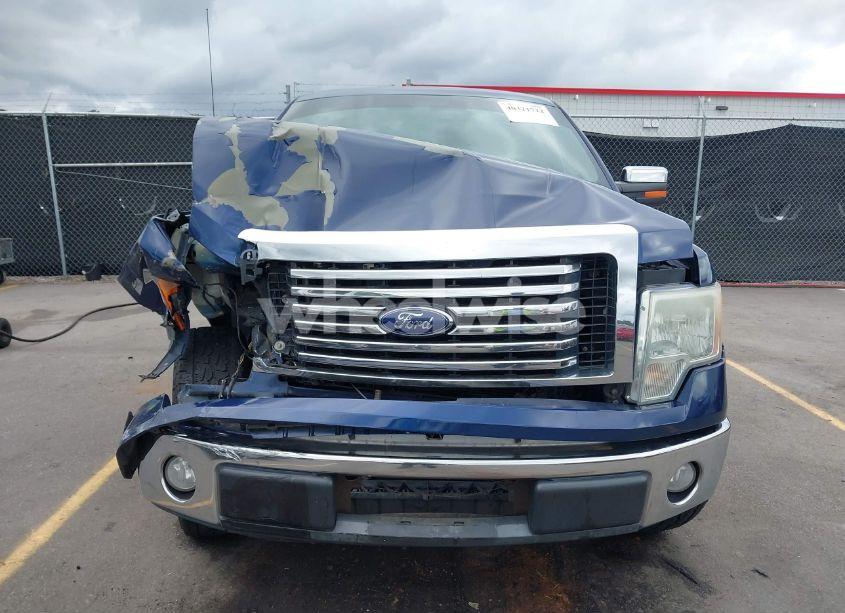 Photo 12 of 2010 Ford F-150 (VIN 1FTEW1C82AKE63887)