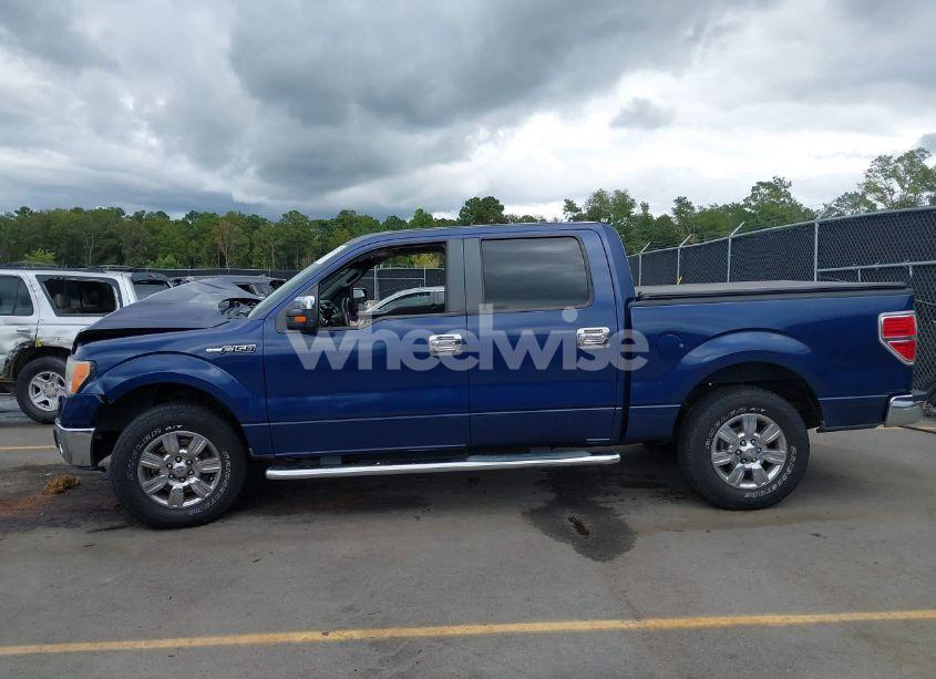 Photo 14 of 2010 Ford F-150 (VIN 1FTEW1C82AKE63887)