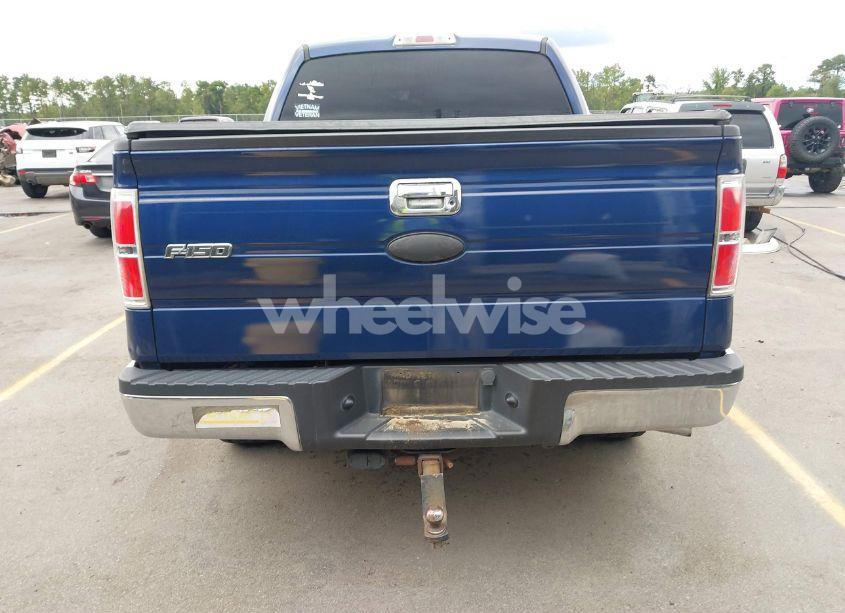 Photo 16 of 2010 Ford F-150 (VIN 1FTEW1C82AKE63887)