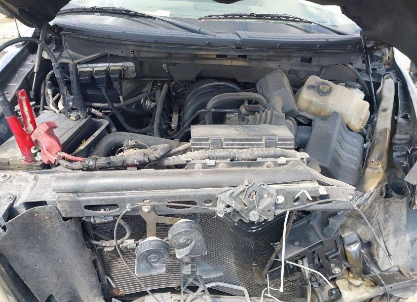 Photo 10 of 2010 Ford F-150 FX2 SPORT/XL/XLT (VIN 1FTEW1C83AFA08877)