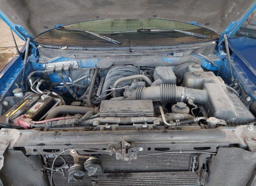 Photo 10 of 2010 Ford F-150 FX2 SPORT/XL/XLT (VIN 1FTEW1C83AFB21986)