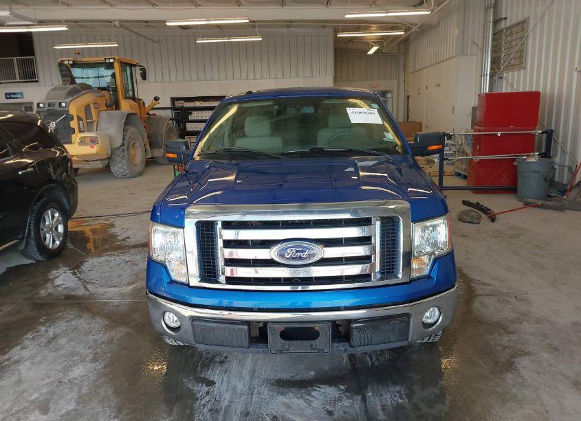 Photo 12 of 2010 Ford F-150 FX2 SPORT/XL/XLT (VIN 1FTEW1C83AFB21986)
