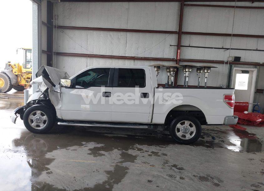 Photo 14 of 2010 Ford F-150 FX2 SPORT/XL/XLT (VIN 1FTEW1C83AKA67743)