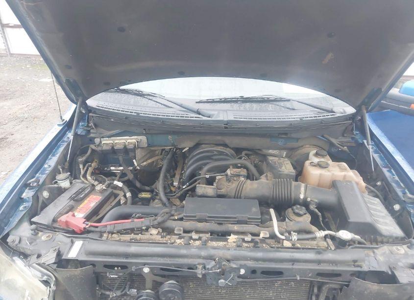 Photo 10 of 2010 Ford F-150 FX2 SPORT/XL/XLT (VIN 1FTEW1C83AKC54710)