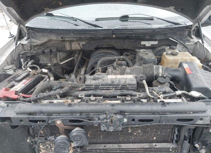 Photo 10 of 2010 Ford F-150 FX2 SPORT/XL/XLT (VIN 1FTEW1C85AFA13434)